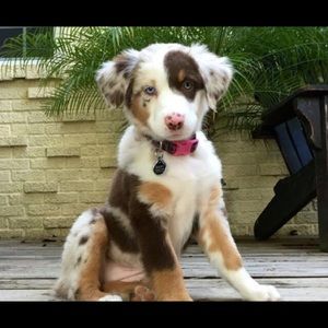 Meet your Posher, Brianna